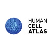 Human Cell Atlas logo - Similar company to Biamics: Bioinformatics Analysis For Omics