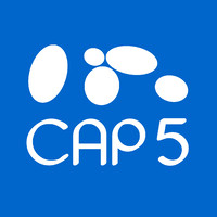 CAP 5 INCENTIVE logo - Similar company to Travel Planet