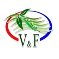 V&F SAC logo - Similar company to Fresh Fruit Perú