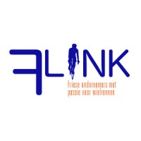 Team Flink