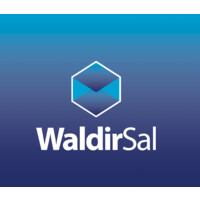 Waldir Sal logo - Similar company to A.Zen Digital