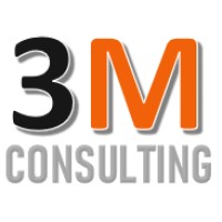 3M HCM Consulting logo - Similar company to Audyx