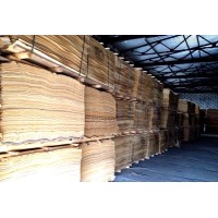 Birch Plywood&Veneer logo - Similar company to Global Panel Products