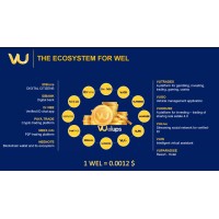 WELUPS United Arab Emirates logo - Similar company to Grand Lion Investment Holdings