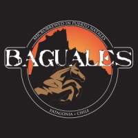 Cerveza Baguales logo - Similar company to Fitzroy Chile