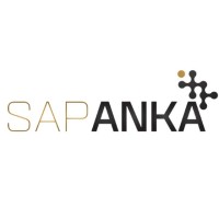 SAPANKA logo - Similar company to Riseway Consulting