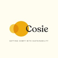 Cosie Studio logo - Similar company to Digital Commandos