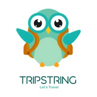 Trip String