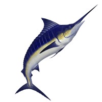 Angler Retail Construction logo - Similar company to Meridian Constructors