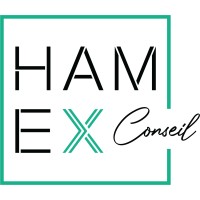 HAMEX CONSEIL logo - Similar company to David Haye Expert-Comptable