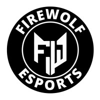 Firewolf e-sports logo - Similar company to Wallerstein Industrial E Comercial Ltda.