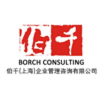 Borch Consulting