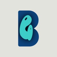 BrainGroom logo - Similar company to Highqlearning