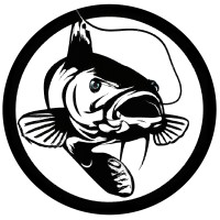 Catfish IOT logo - Similar company to Catfish