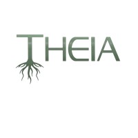 Theia Development logo - Similar company to Devi Consulting