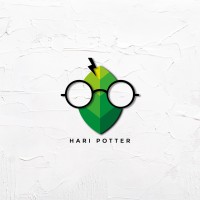 Hari Potter logo - Similar company to Bytehealthy