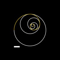 Holocenee logo - Similar company to Academia De Liderança Para Meninas | Lidere-Se