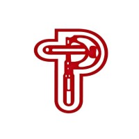 PARASMANI TUBES PVT LTD logo - Similar company to Bizdhan Solutions Llp