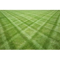 Diamond Cuts Landscaping logo - Similar company to Precise Tree Care, Inc.