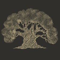 Olive Tree Escapes logo - Similar company to Experi