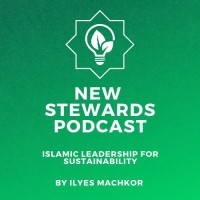 New Stewards logo - Similar company to Straight Path Sustainability