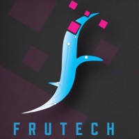 FruTech Software Solutions PLC logo - Similar company to Teqengine