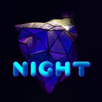 NiGHT iMMERSiON logo - Similar company to Boost&Shine