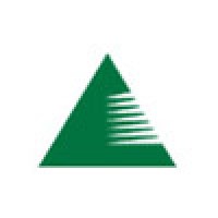 Willmott Forests Limited logo - Similar company to Virgin Forests
