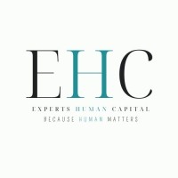 EXPERTS HUMAN CAPITAL (EHC Groupe) logo - Similar company to Digi4