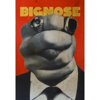 BIGNOSE AS logo - Similar company to Kulinarisk Akademi (Ka)