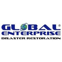 Global Enterprise Disaster Restoration (Gedr)