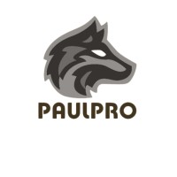 PaulPro Digital Marketing Agency logo - Similar company to Metech It Services - Digital Marketing Agency