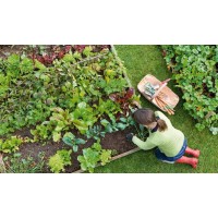 kitchen Gardening logo - Similar company to Palora Gold
