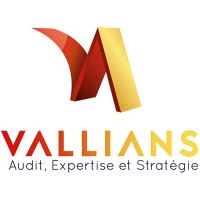 Vallians AES logo - Similar company to Davidan