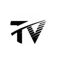 TechVisionaire logo - Similar company to Aitechfusion