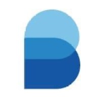 Badis-IT logo - Similar company to Data For Geeks (Data4Geeks)