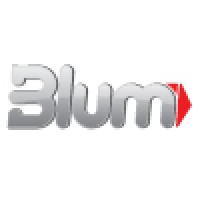 Blum Software Engineering Llc