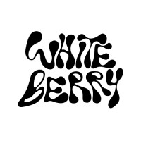 Whiteberry Media logo - Similar company to Robocomvr