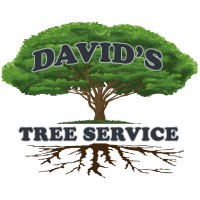 David's Tree Service, Inc. logo - Similar company to Wright Equities, Inc.