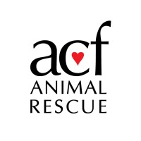 ACF Animal Rescue logo - Similar company to Hisaar Foundation