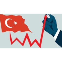 Ekonomiye Yön Verenler logo - Similar company to 12 Dakika
