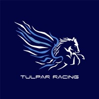 Tulpar Racing logo - Similar company to Kouformula
