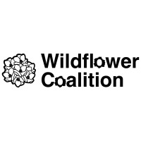 Wildflower Coalition logo - Similar company to Haley Solar