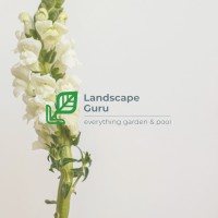 Landscape Guru logo - Similar company to The Solutions Team Sa