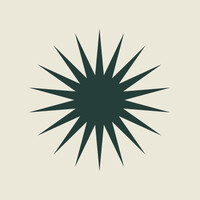 TejoMed logo - Similar company to Flag