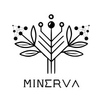MINERVA AI Lab Group logo - Similar company to Programamos