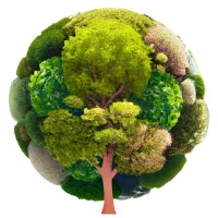 OneBiome logo - Similar company to Onebiome Sp. Z O.O.