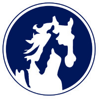 White Horse Auto Wash logo - Similar company to Vigilant Torch