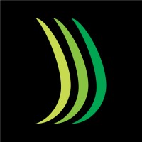 PILKINGTON OILS LIMITED logo - Similar company to Steppingstone Global Co Wll