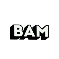 Bam Collective Ltd logo - Similar company to Ipeafro